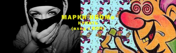 хмурый Михайловск