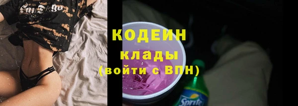 хмурый Михайловск