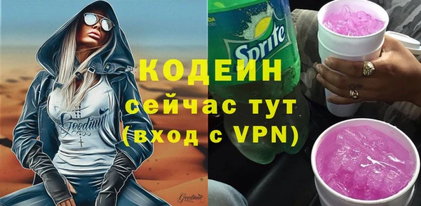 хмурый Михайловск
